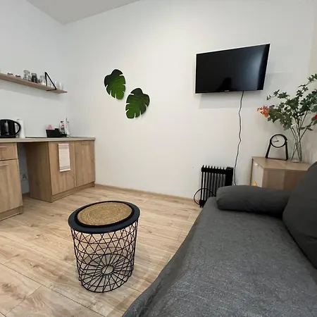 Krowoderska Centrum Ii Appartement Cracovie
